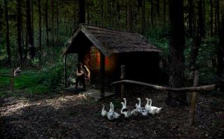 Coffret voyage : sejours et escapades a offrir en cadeau